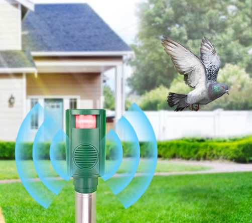 Sound type bird repeller